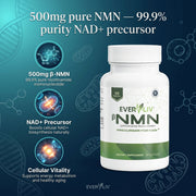 Everliv β - NMN - EverLiv LLC